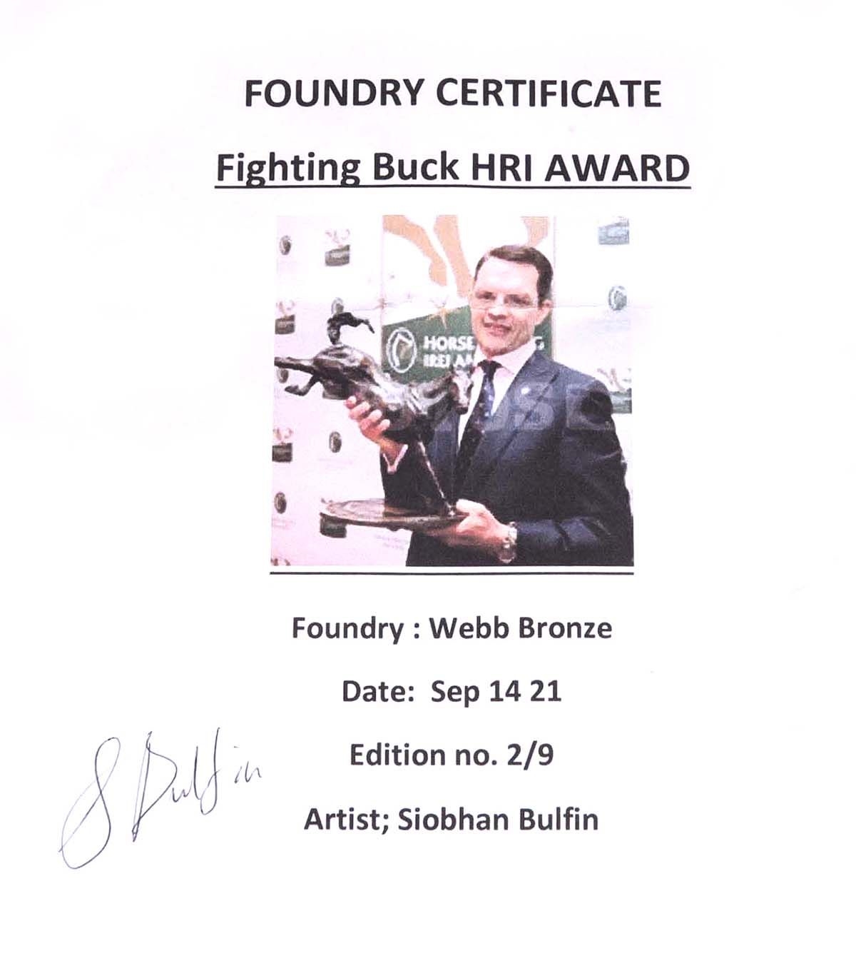 Siobhan Bulfin | FIGHTING BUCK | MutualArt