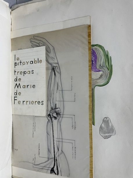 Artwork by Claudine Sebire, Lot of drawings, Made of pencil, gouache, watercolor