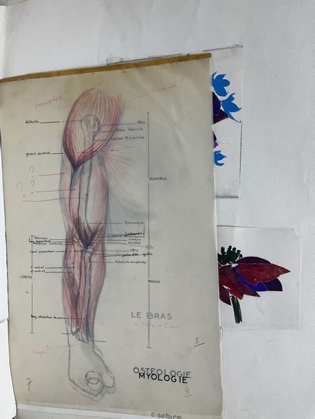 Artwork by Claudine Sebire, Lot of drawings, Made of pencil, gouache, watercolor