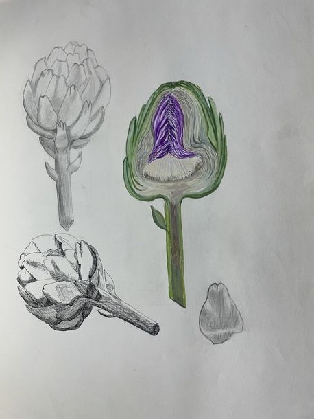 Artwork by Claudine Sebire, Lot of drawings, Made of pencil, gouache, watercolor