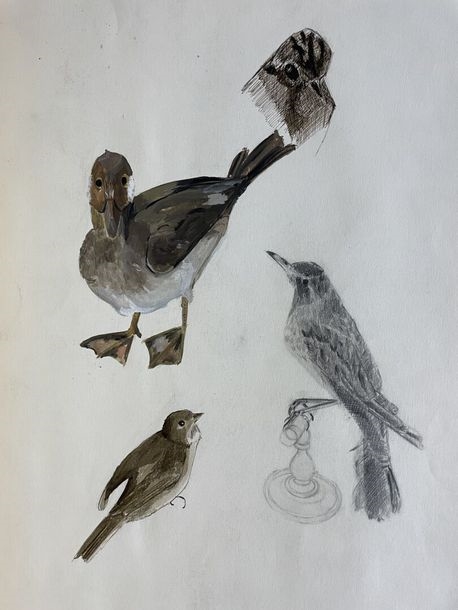 Artwork by Claudine Sebire, Lot of drawings, Made of pencil, gouache, watercolor