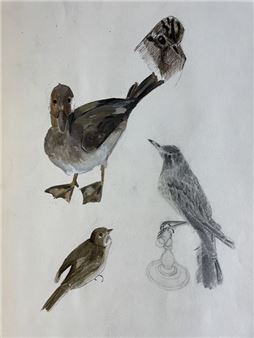 Lot of drawings - Claudine Sebire