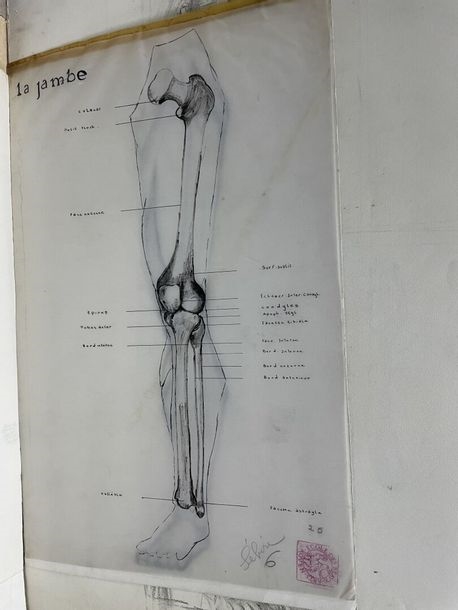 Artwork by Claudine Sebire, Lot of drawings, Made of pencil, gouache, watercolor