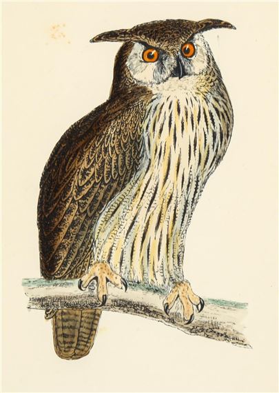 hand-coloured engraving on paper by Francis Orpen Morris, 1870