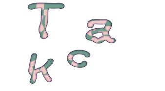 Tacker 2022: Preselection - Galerie der Künstler