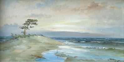 Aizmirstais krasts by Stanislavs Kreics, 1970