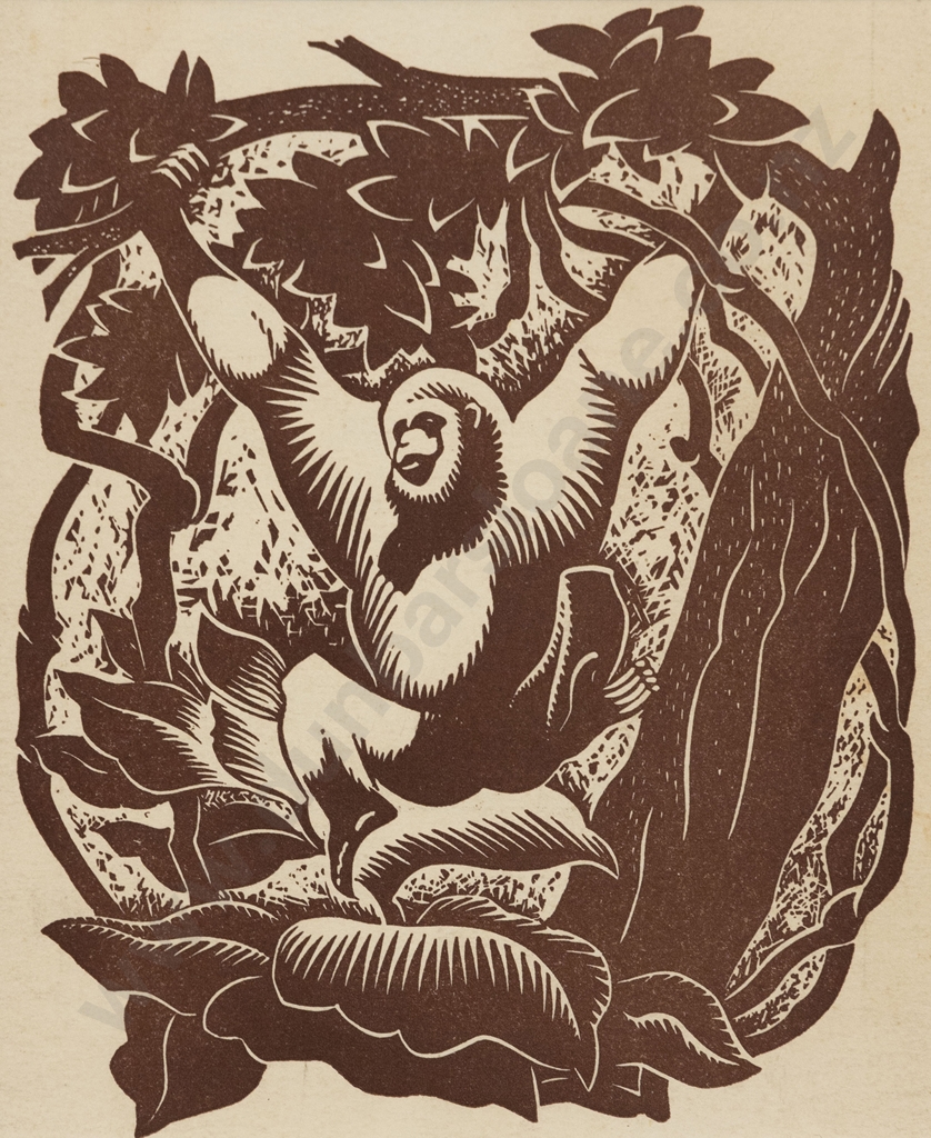 Ape by E. Mervyn Taylor