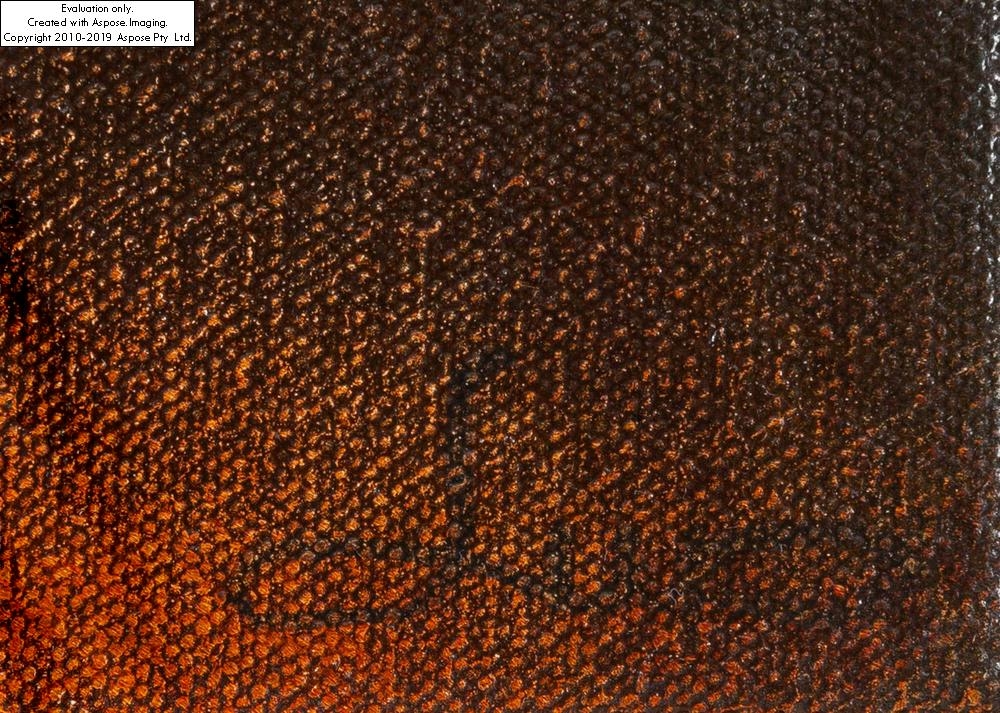 Artwork by Leszek Wyczolkowski, Wisdom, Made of acrylic/canvas