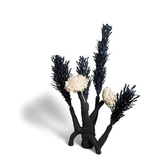 Horsetail (Botany Series) - Junko Mori