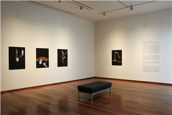 Farihah Aliyah Shah: Without A Leg To Stand On - MacLaren Art Centre