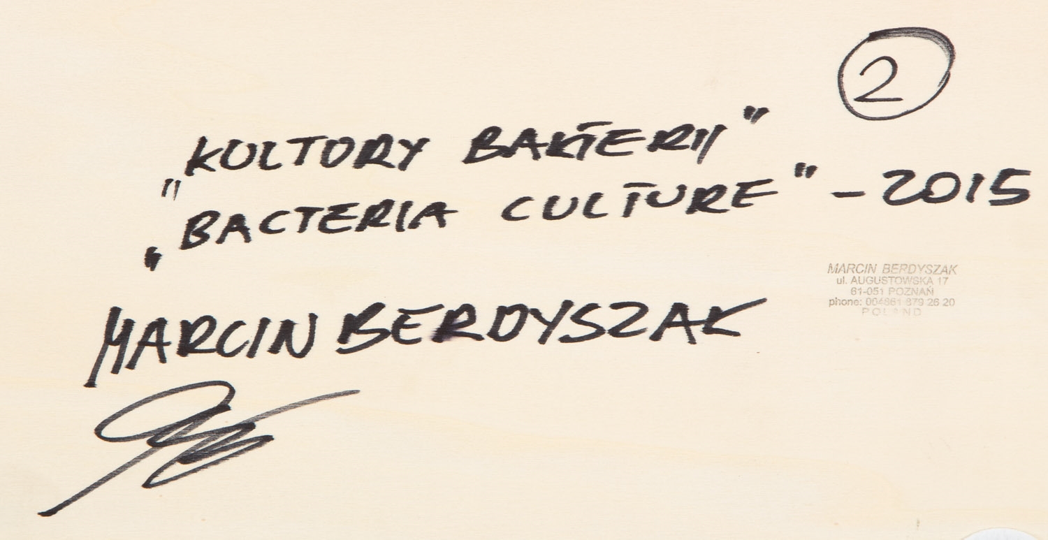 Artwork by Marcin Berdyszak, Bacteria culture, Made of acrylic/panel