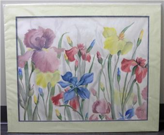 RAINBOW OF IRISES - Mickey Hayes