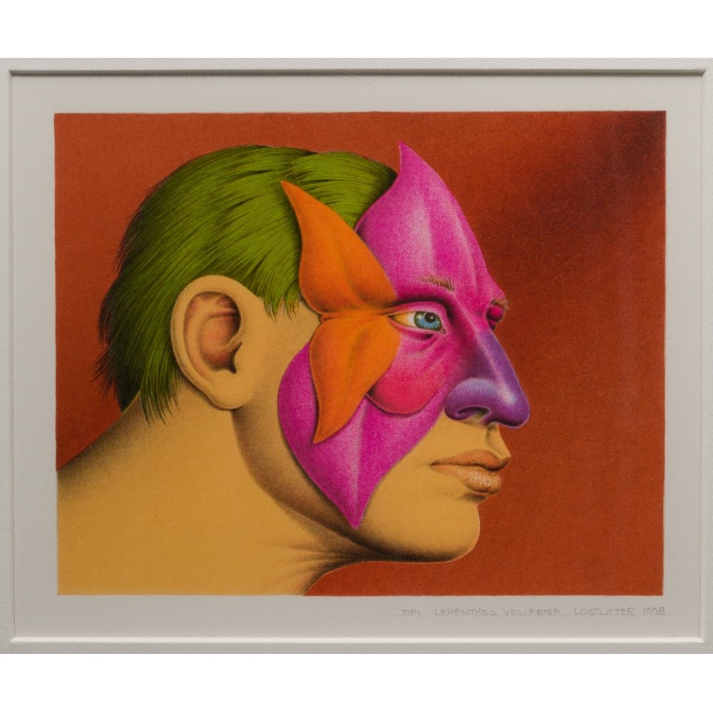 Robert Lostutter | Lepanthes Velifera (1998) | MutualArt