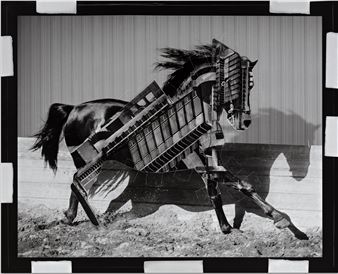 Shannon Bool: 1:1 - MoCP, Museum of Contemporary Photography