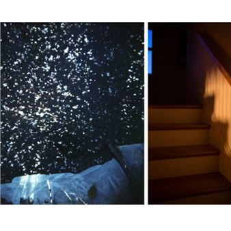 Gail Samuelson: Passing Through - Griffin Museum of Photography