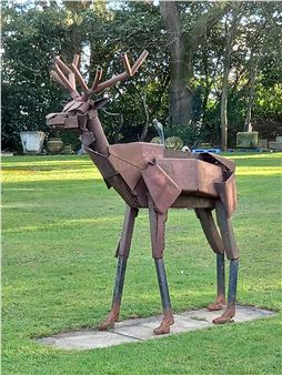 Red deer - Iain Nutting