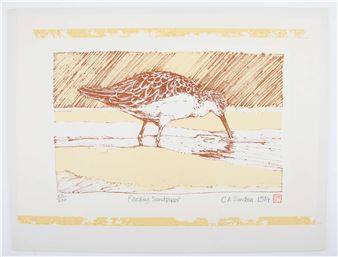 'Feeding Sandpiper' - Chris Sinden