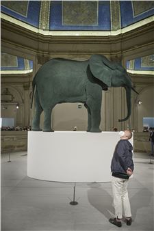 At the Venice Biennale, a Surreal and Intimate Showing for Photography