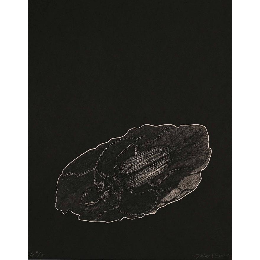 Artwork by David Paton, Two Works: Chrysalis, and Beetle, Made of silkscreen, etching