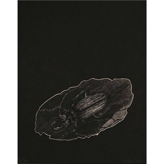 Two Works: Chrysalis, and Beetle - David Paton