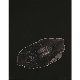 Two Works: Chrysalis, and Beetle - David Paton