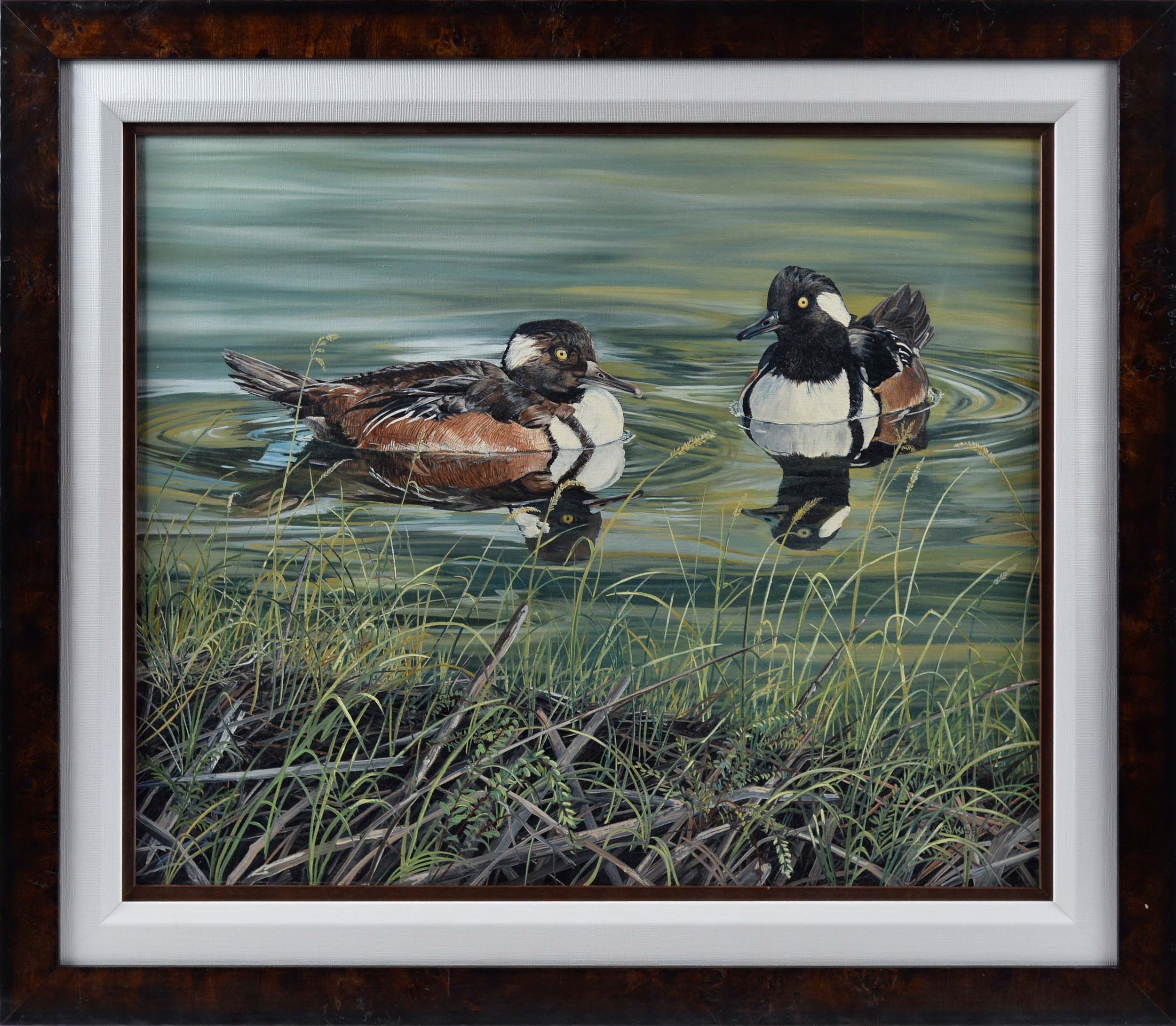 Artwork by Andrew Kiss, Encounter Merganzers, Made of Oil on canvas