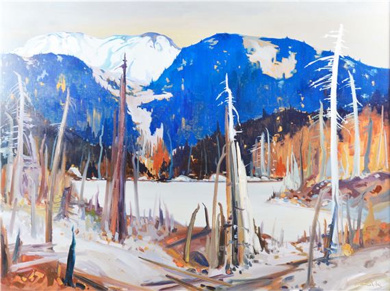 Brûlés dans la réserve faunique des Laurentides