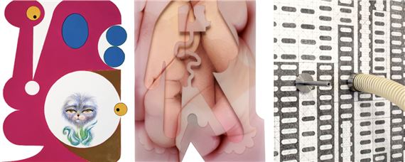 Mis-Shapes - Tiger Strikes Asteroid, New York