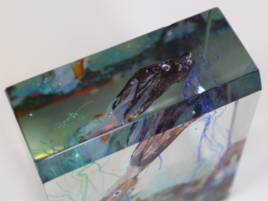 Alfredo Barbini Aquarium with cuttlefish and algae MutualArt