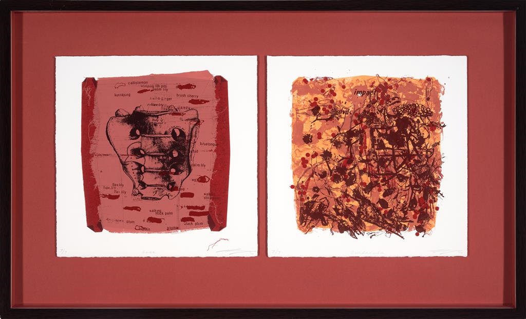 Artwork by Louise Irving, Base/ Dundarambah (From the Series "A Paper Sword"), Made of silkscreen