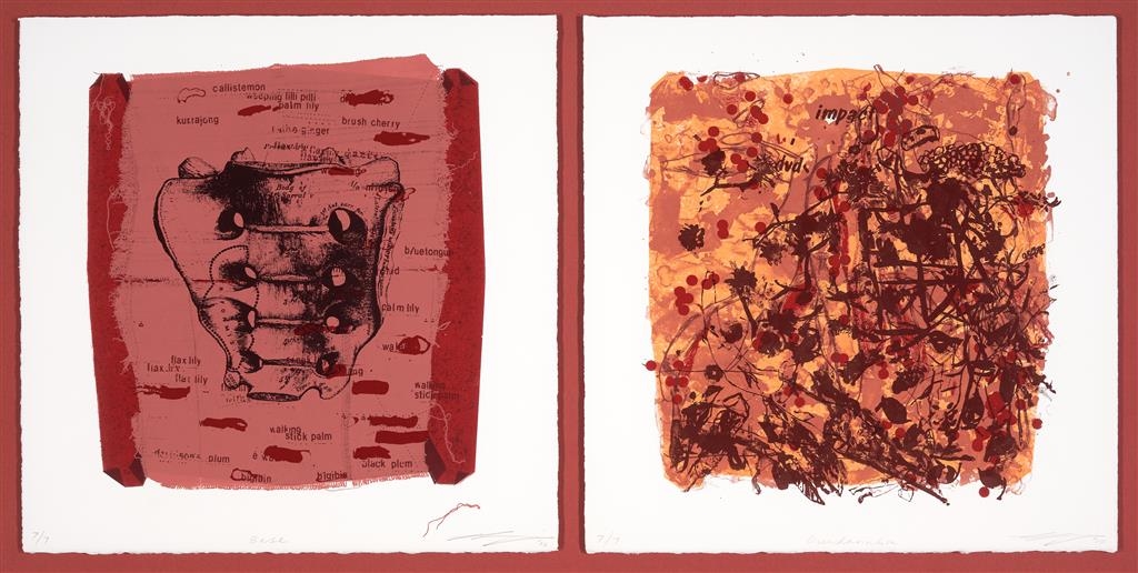 Artwork by Louise Irving, Base/ Dundarambah (From the Series "A Paper Sword"), Made of silkscreen