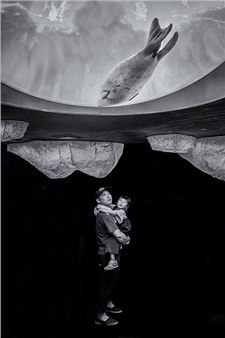 Photographic Essence. The art of black and white photography - Art Works Downtown