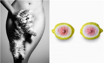 A woman’s right to pleasure: the LA exhibition rewriting the history of female sexuality