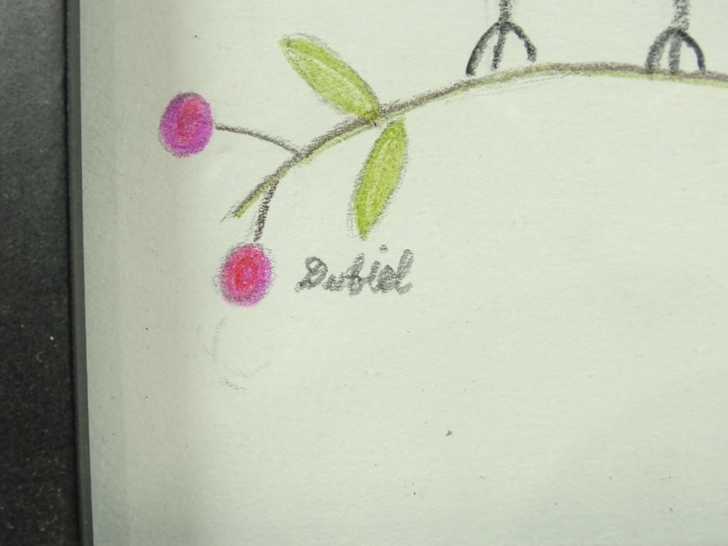 Artwork by John Dubiel, Bird, Made of Drawing