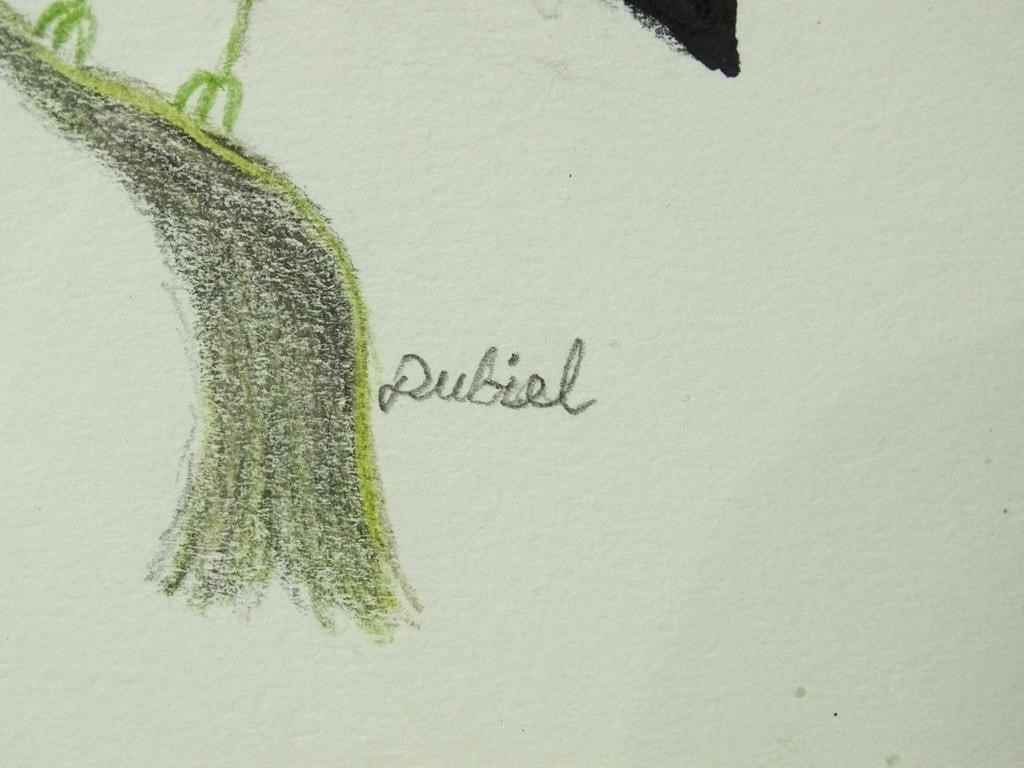 Artwork by John Dubiel, Bird, Made of Drawing