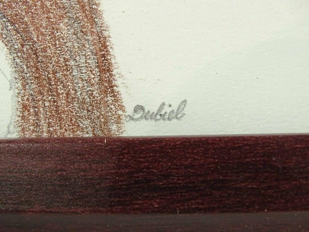 Artwork by John Dubiel, Bird, Made of Drawing