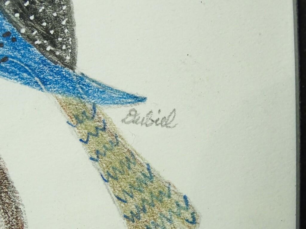 Artwork by John Dubiel, Bird, Made of Drawing