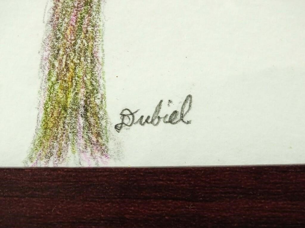 Artwork by John Dubiel, Birds, Made of Colored pencil (2)