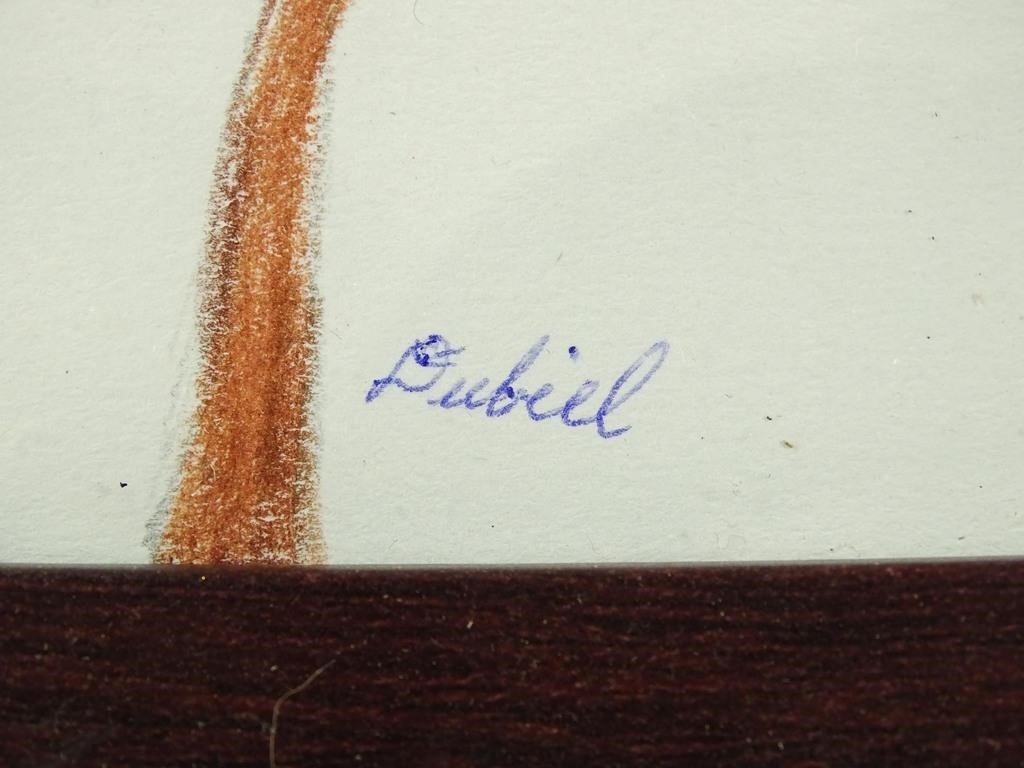 Artwork by John Dubiel, Birds, Made of Colored pencil (2)