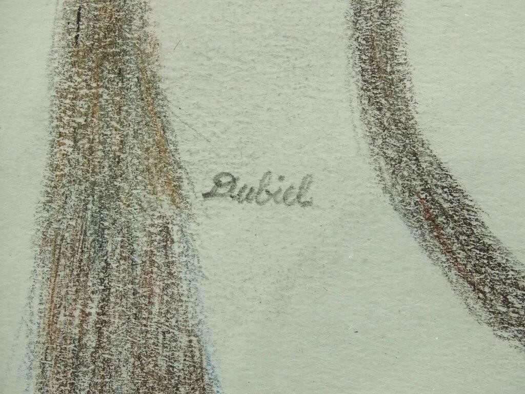 Artwork by John Dubiel, Birds, Made of Drawing