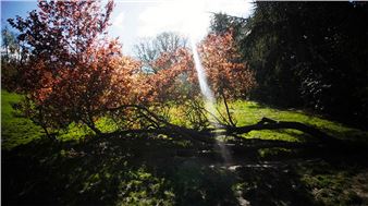 Garden of Mixtures: Attempts to Make Place, 1995 -…  by Alejandra Riera