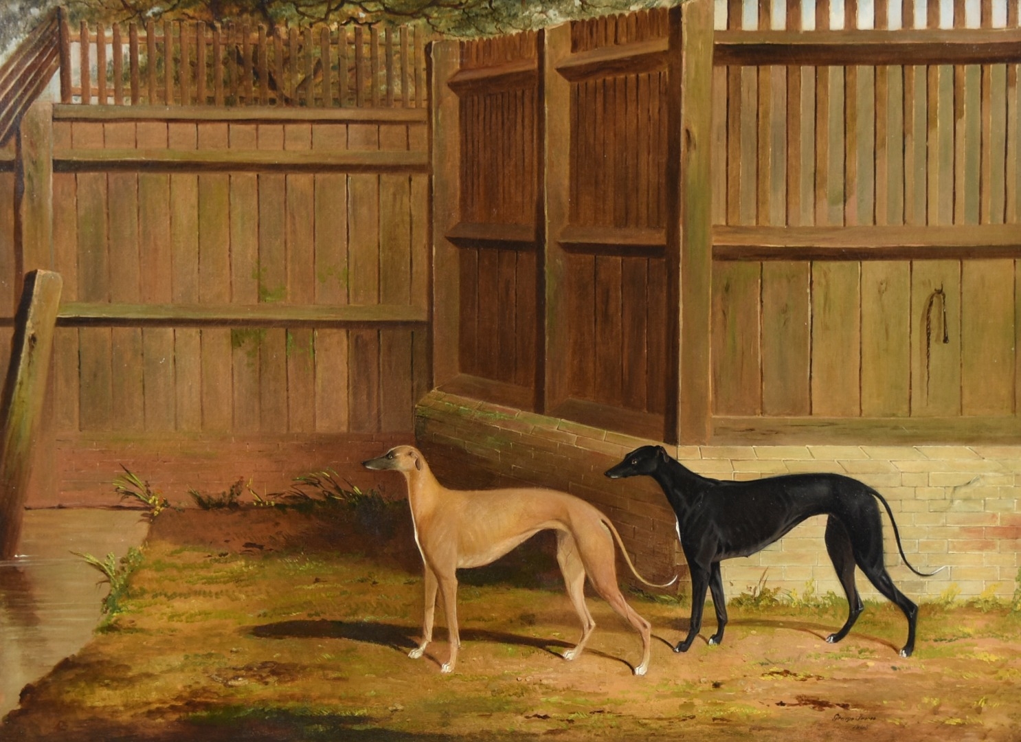 Artwork by George Fenn, Study of two greyhounds, Made of Oil on relined canvas