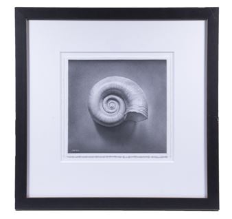 "Ramshorn" - John Whalley