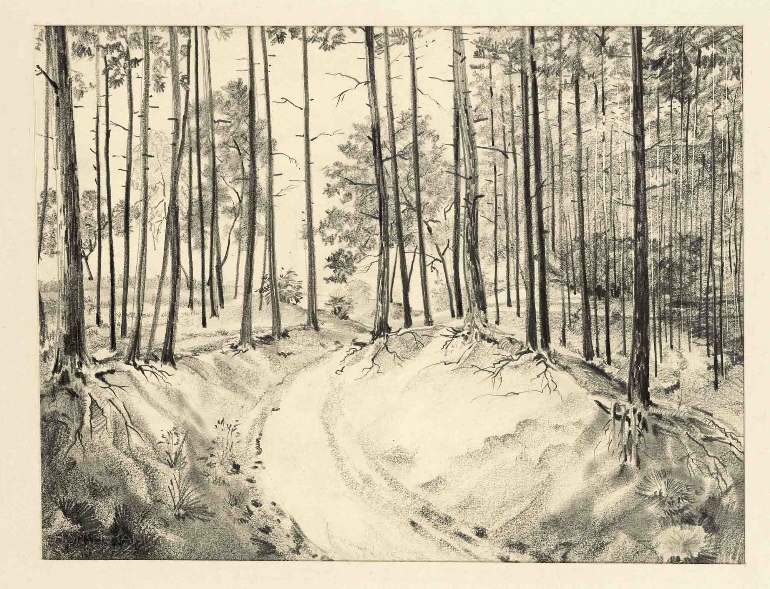 Artwork by Jean Hanselmann, Large estate collection of 13 drawings, Made of charcoal and pencil