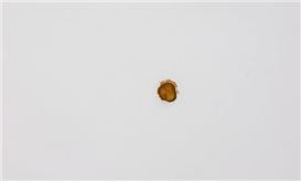 Flung Pickle Token: Artist Asks $10,000 for McDonald’s Burger Ingredient