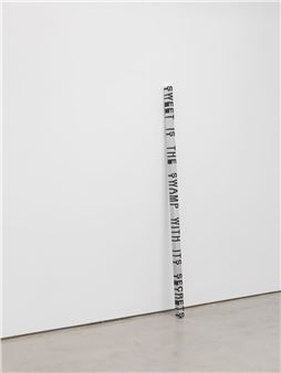 Roni Horn: Sweet Is The Swamp With Its Secrets - Hauser & Wirth, Monaco