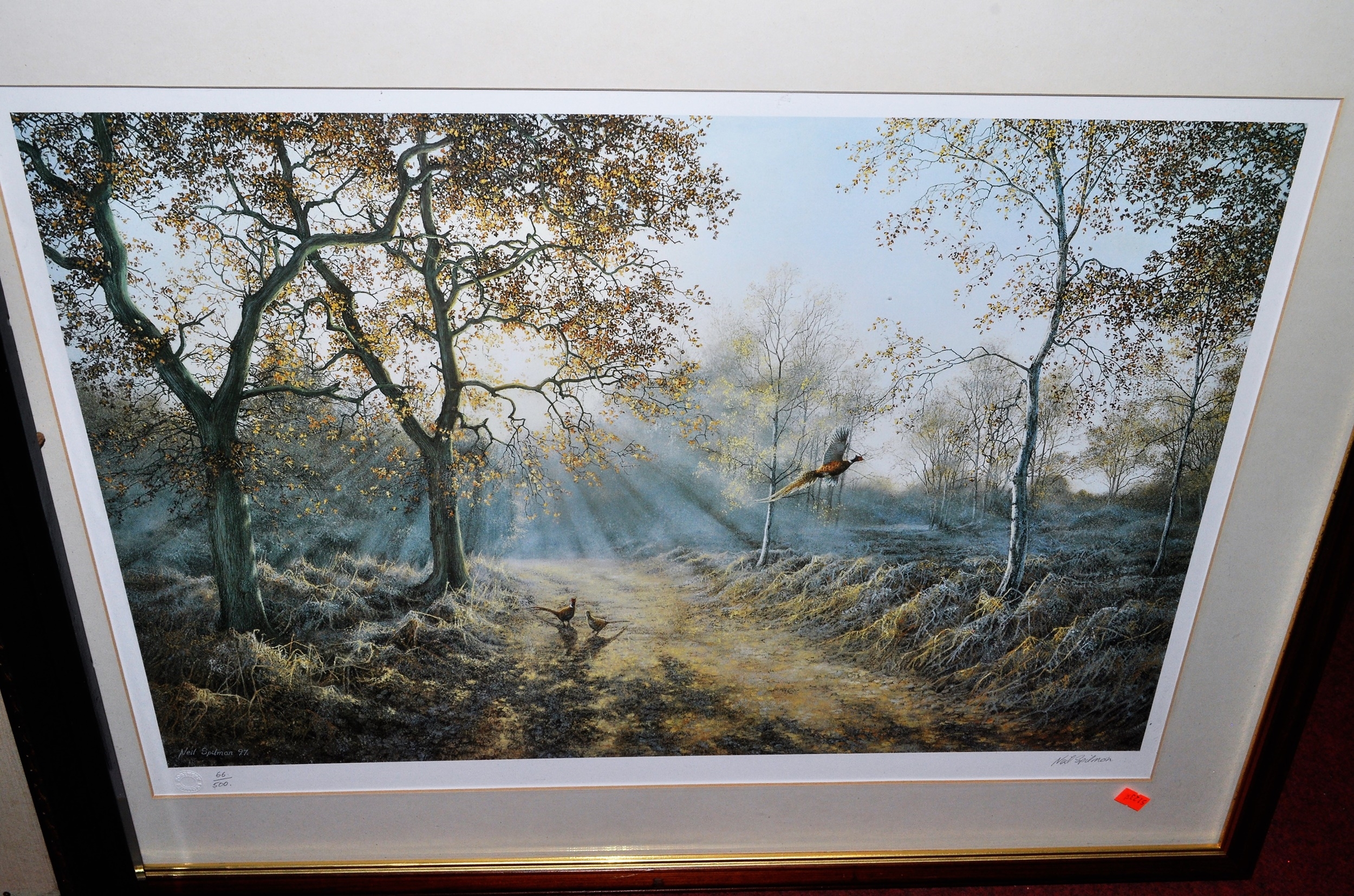 Neil Spilman | Game Birds on a Sunlit Morning | MutualArt