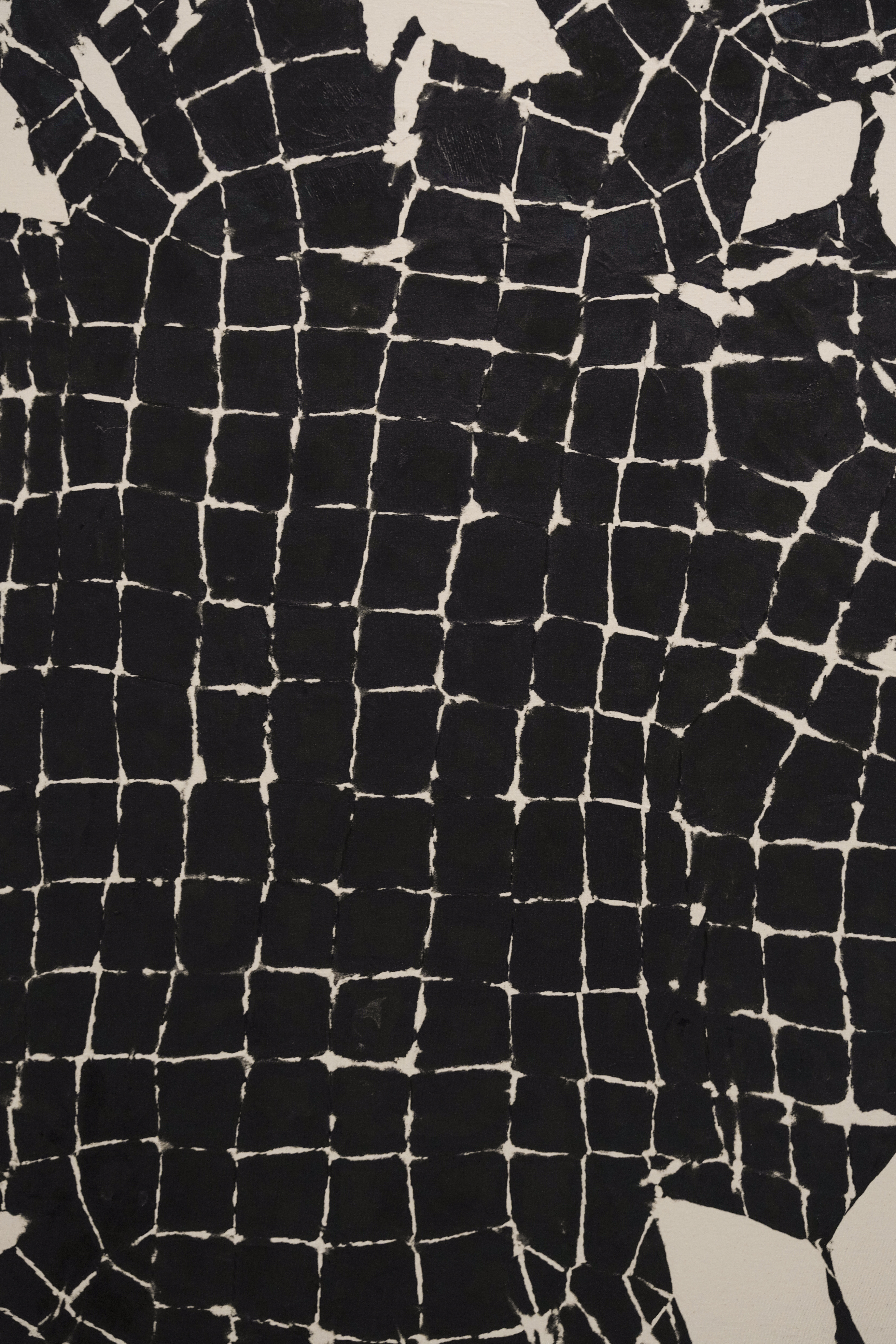 Artwork by Maia Ruth Lee, Bondage Baggage Atlas, Made of India ink on canvas