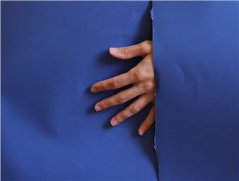 The Summer Show - FMAV, Palazzo Santa Margherita