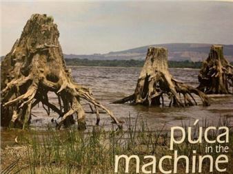 Púca in the Machine - Mermaid Arts Centre